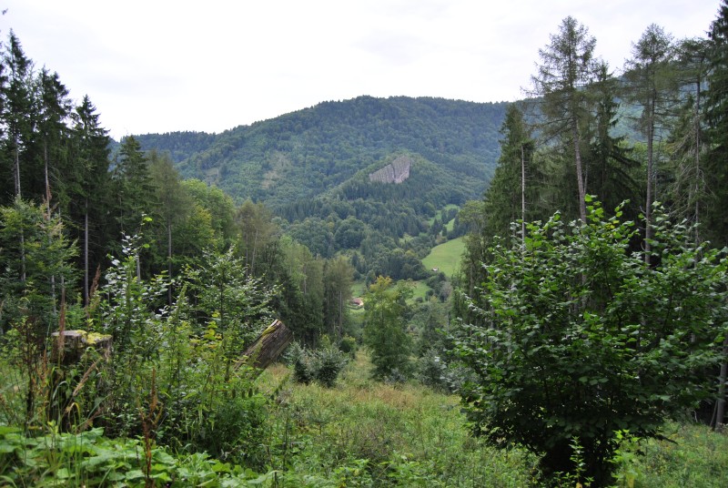 pepajs.cz